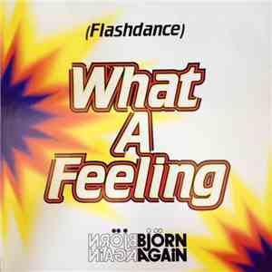 Bjorn Again - Flashdance...What A Feeling download free