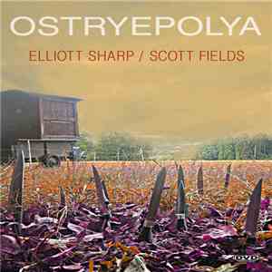Elliott Sharp / Scott Fields - Ostryepolya download free