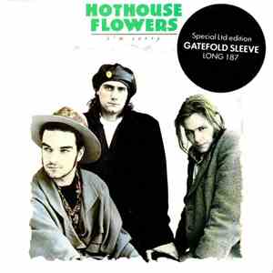 Hothouse Flowers - I'm Sorry download free