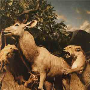Interpol - Our Love To Admire download free