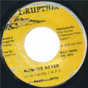 Little Lenny & A.P.R. - Now Or Never download free