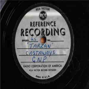 The Castaways  - Wild Boy download free