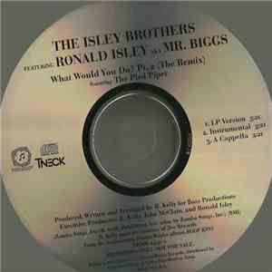 The Isley Brothers Featuring Ronald Isley AKA Mr. Biggs - What Would You Do? Pt. 2 (The Remix) download free