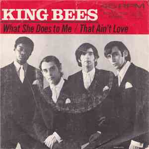 The King Bees - What She Does To Me download free