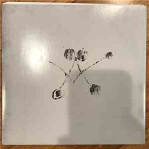 Waterstrider  - New Sun download free